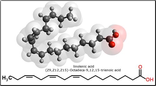 linolenic acid